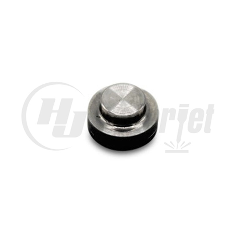 Inlet Poppet, SL-V, 20453619