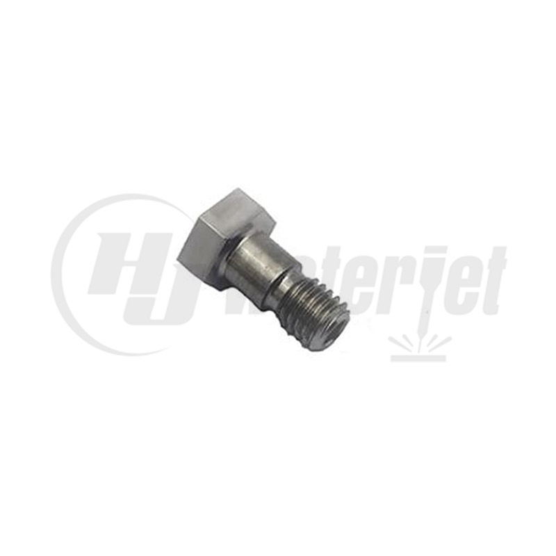 Inlet Poppet Screw, SL-V, 20474395