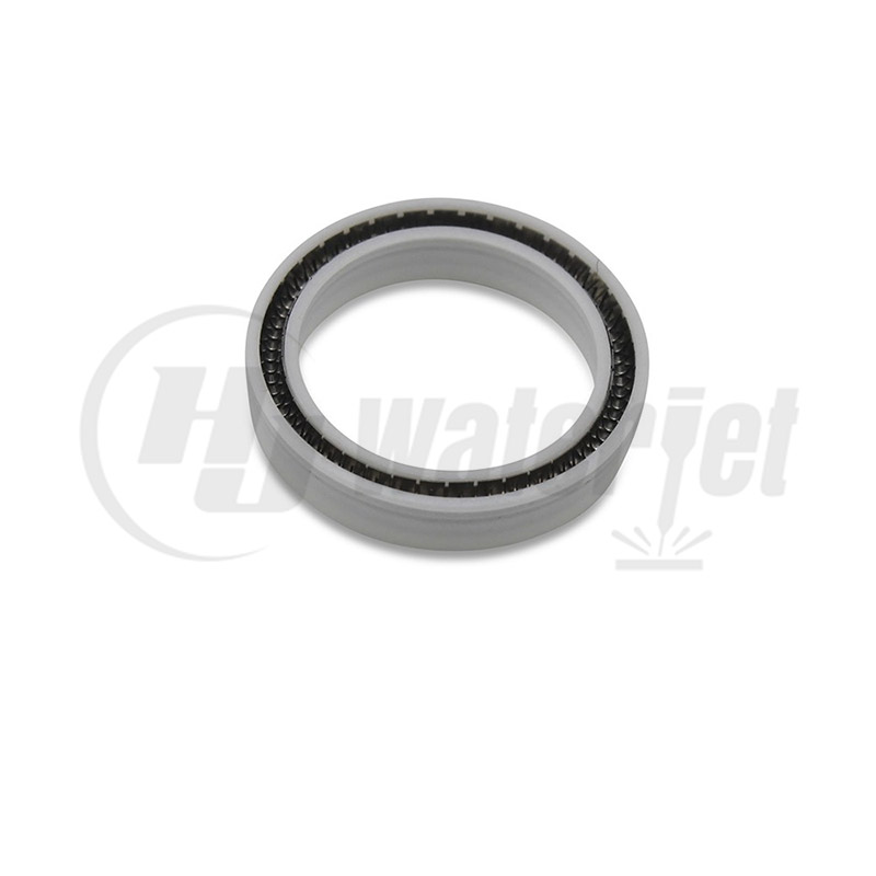 Spring Energized Rod Seal, A-11275