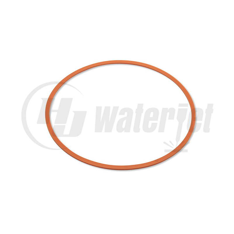 Back-up Ring, A-00250-240